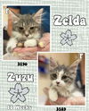 ZUZU