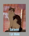 CARAMEL