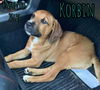 KORBIN