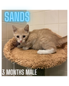 SANDS