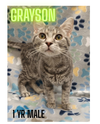 GRAYSON