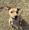 RYLEE - Photo 2