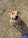 RYLEE - Photo 3