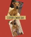 CLIFFORD