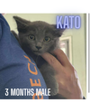 KATO