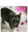 KELLY