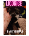 LICORICE
