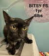 BITSY