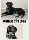 PORTLAND