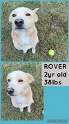 ROVER - Photo 9
