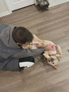 ROVER - Photo 3