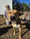 REBA - Photo 3