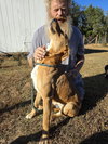 REBA - Photo 4