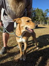 REBA - Photo 2