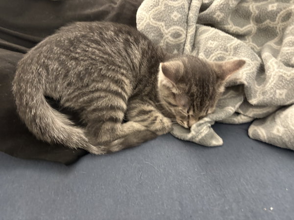 HUXLEY