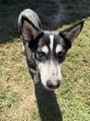 CHASE - Photo 10