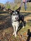 CHASE - Photo 5