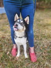 CHASE - Photo 4
