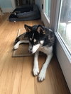 CHASE - Photo 3