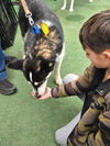 CHASE - Photo 2