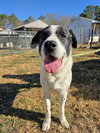 BRODY - Photo 9