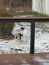 BRODY - Photo 8