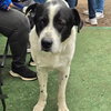 BRODY - Photo 1