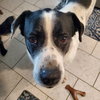 BRODY - Photo 5