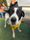 BRODY - Photo 4