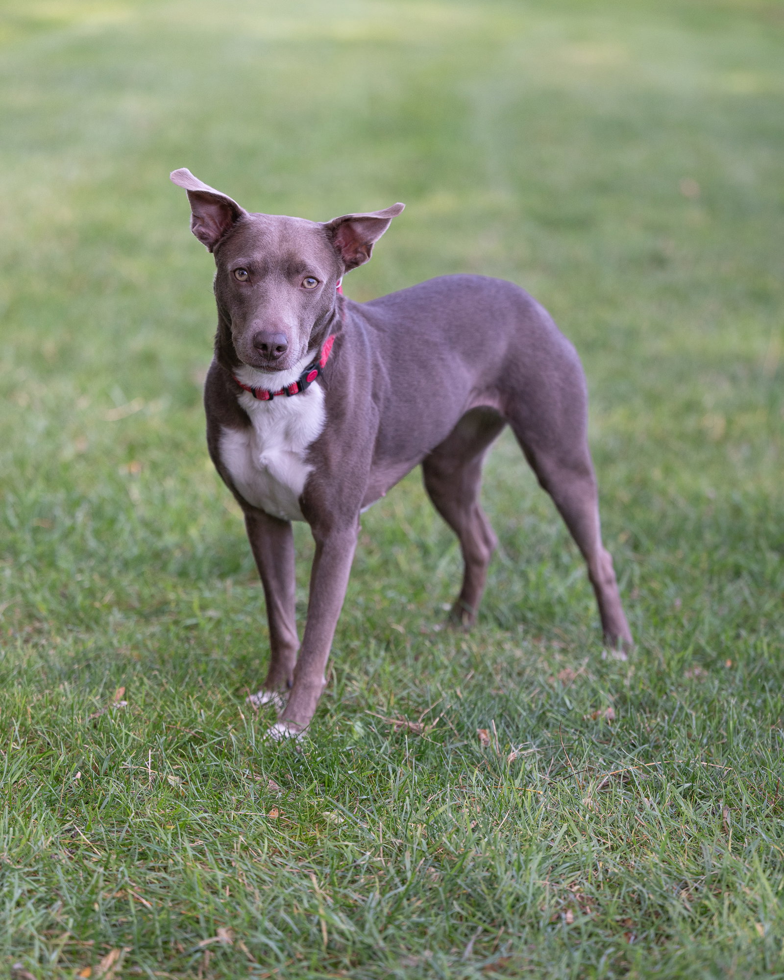 JASMINE, photo 6