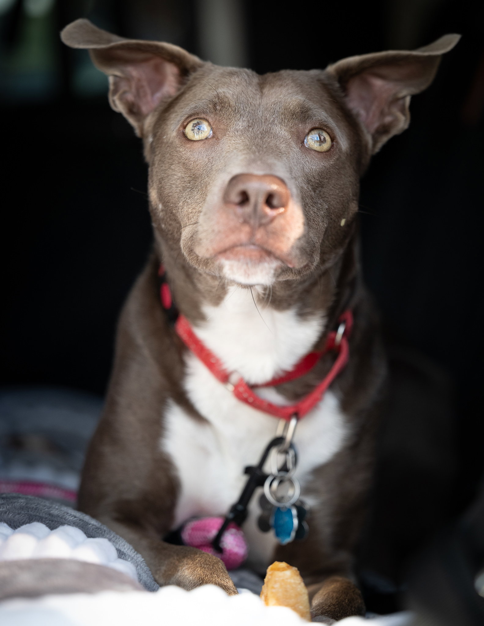 JASMINE, photo 7