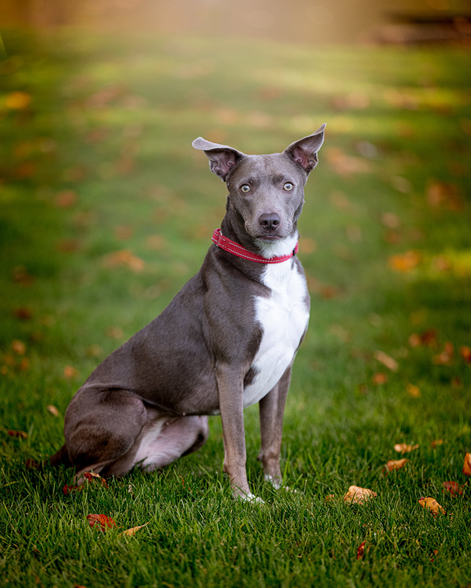 JASMINE, photo 10