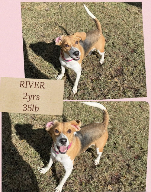 Photo of RIVER