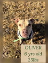OLIVER
