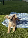 SPARKLES - Photo 3