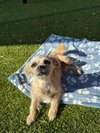 SPARKLES - Photo 4
