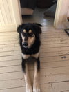 APOLLO - Photo 1