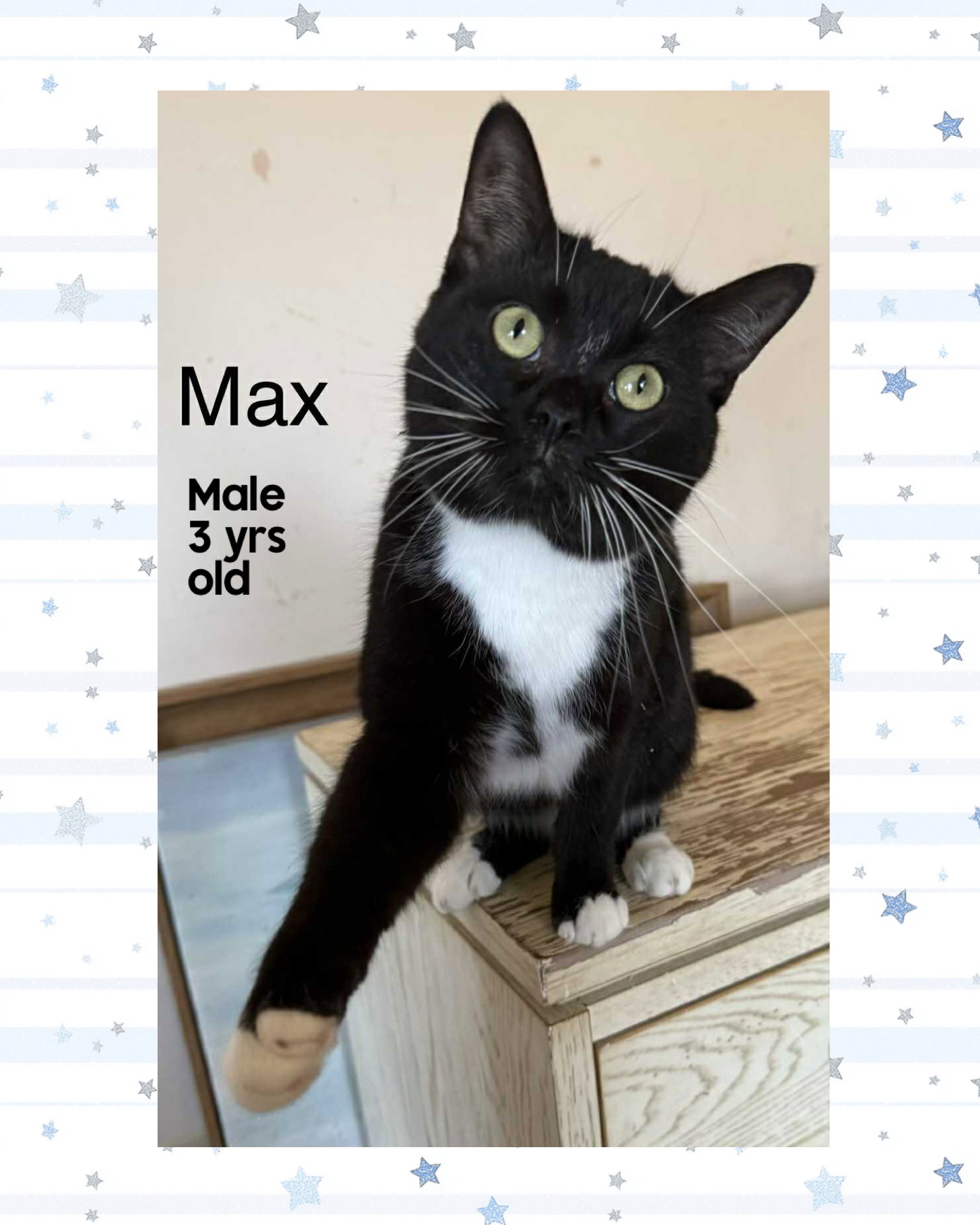 MAX Image