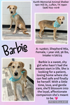 BARBIE - Photo 1
