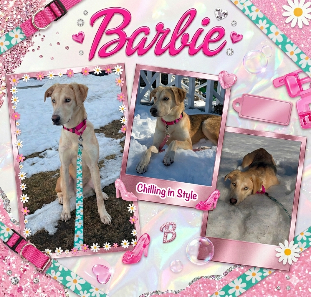 BARBIE