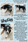 WHEATLEY - Photo 1
