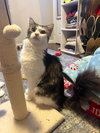 LILY - Photo 2