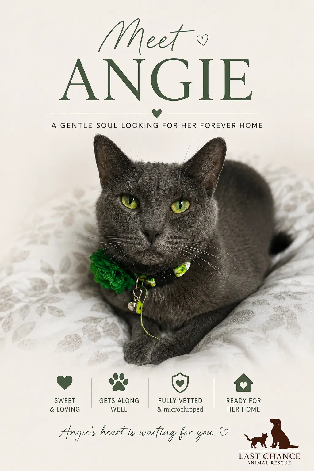 Angie image 4