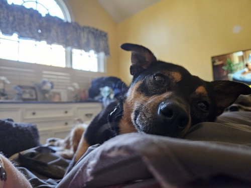 CHICO photo 3