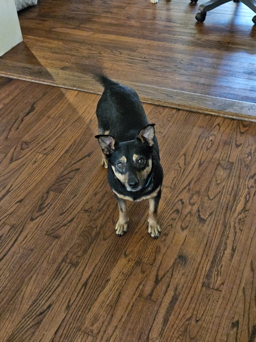 CHICO photo 6