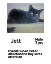 JETT - Photo 2
