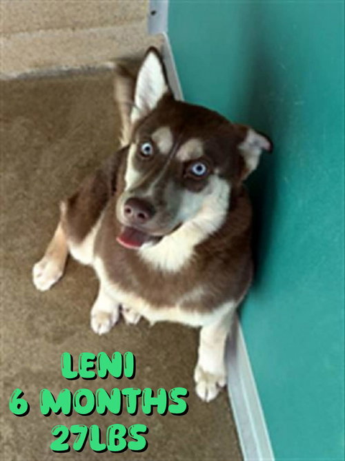 LENI
