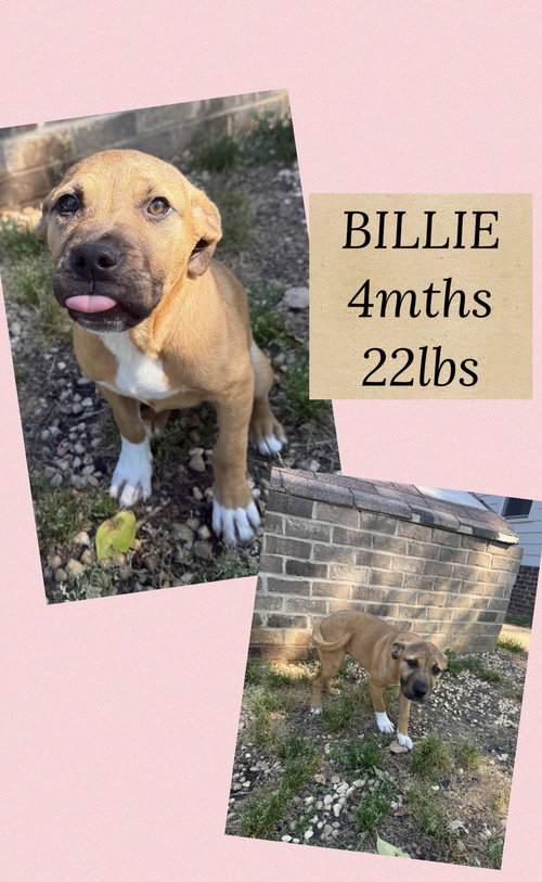 BILLIE