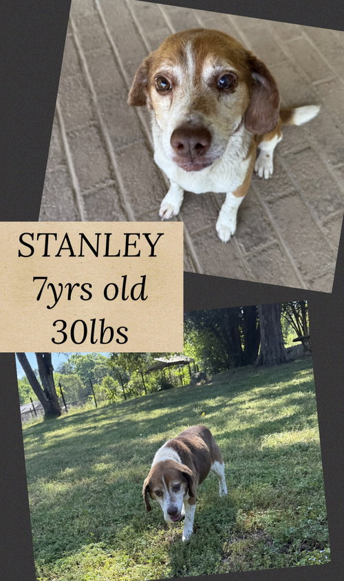 STANLEY