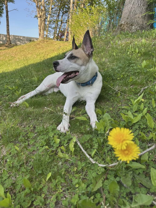 LUNA